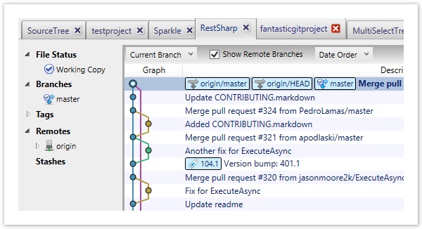 Visualize your repositories with SourceTree